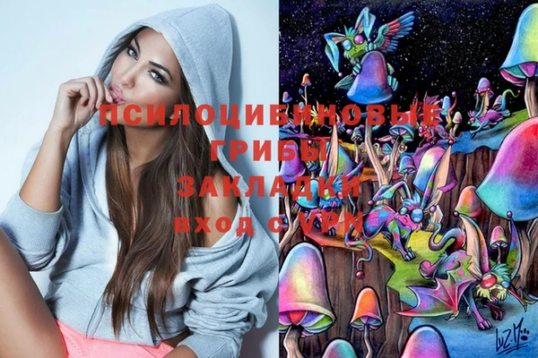 дживик Михайловск