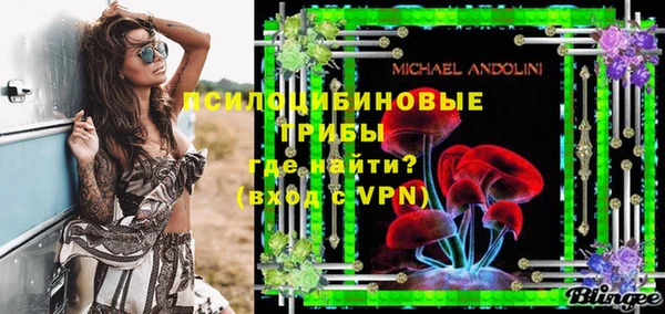 дживик Михайловск