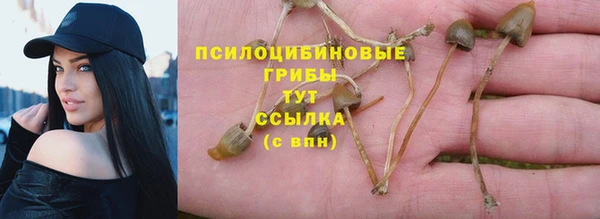 spice Михайловка