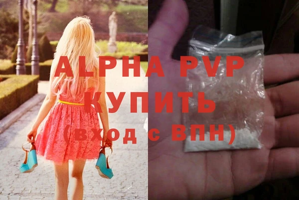 ECSTASY Михайлов