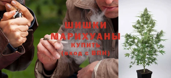 дживик Михайловск