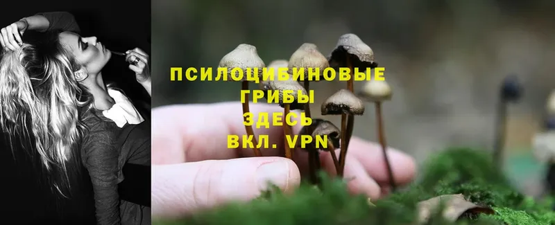 Галлюциногенные грибы GOLDEN TEACHER  Нижний Ломов 