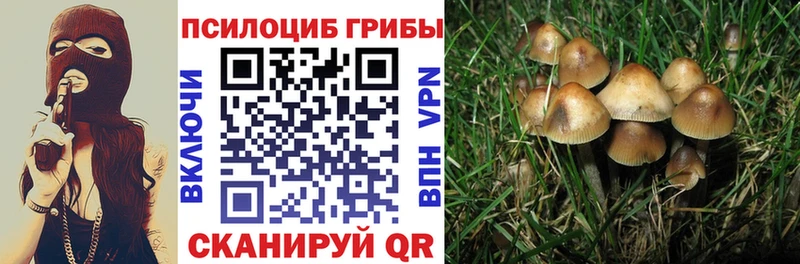 ОМГ ОМГ Нижний Ломов Галлюциногенные грибы Cubensis площадка клад продажа наркотиков