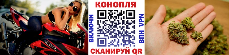 Шишки марихуана VHQ сайты даркнета какой сайт Нижний Ломов где можно купить наркотик